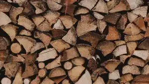 troncos maderas